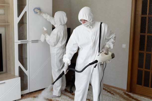 Best Industrial Mold Remediation in South Bay, FL